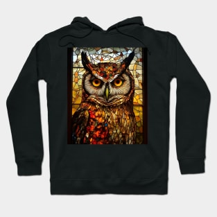 Serious owl face Hoodie